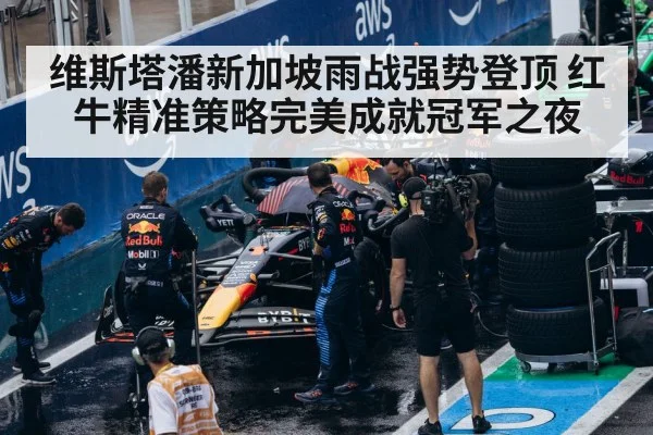 F1 pit stop team